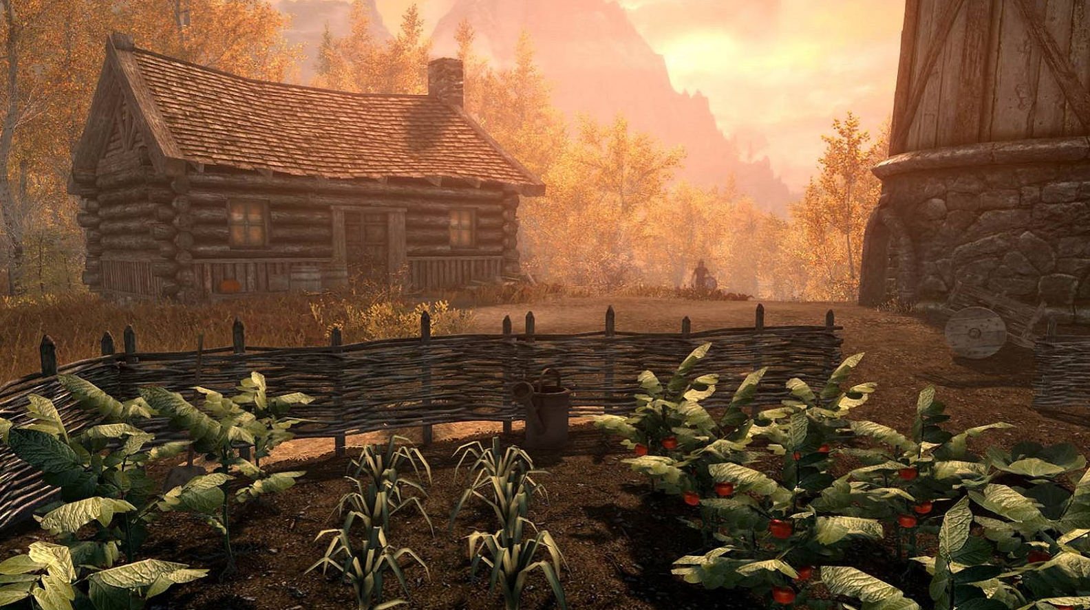 Skyrim — garden and home building